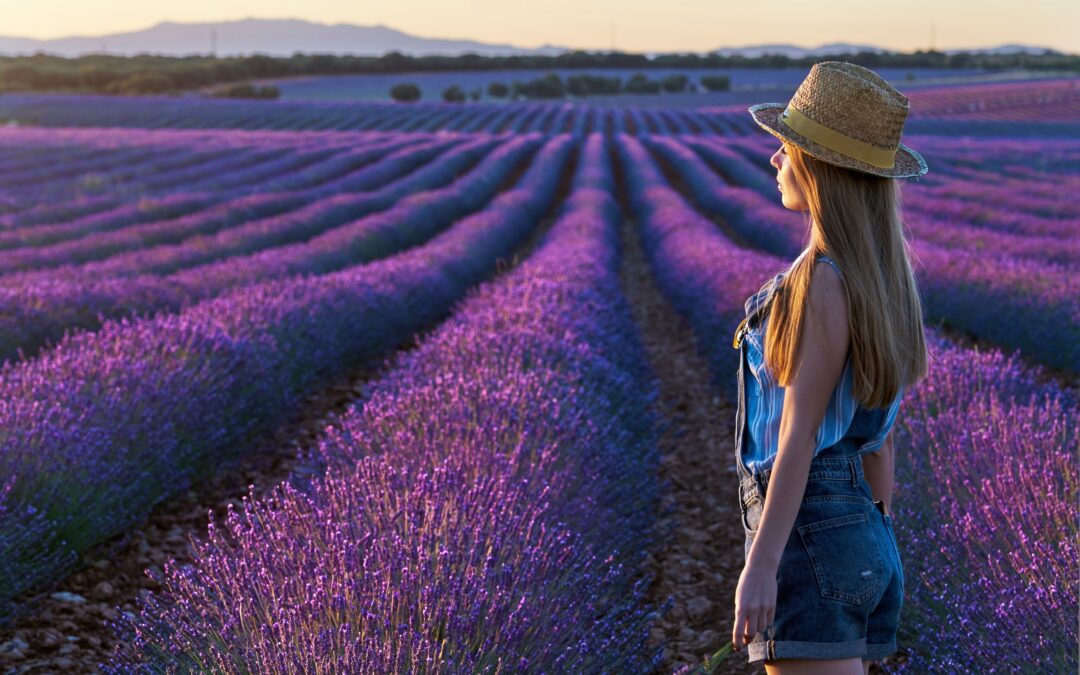 CAMPO DE LAVANDA