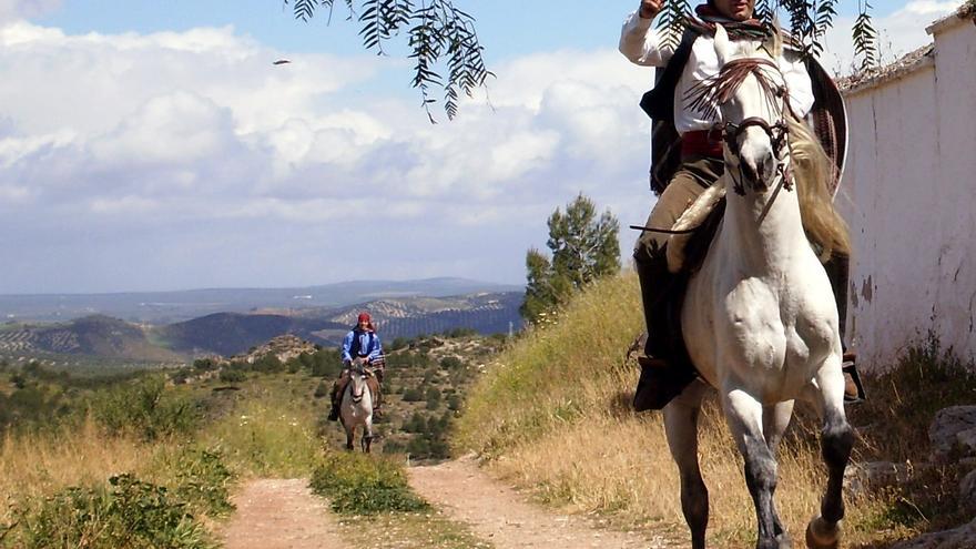 RUTA DEL TEMPRANILLO